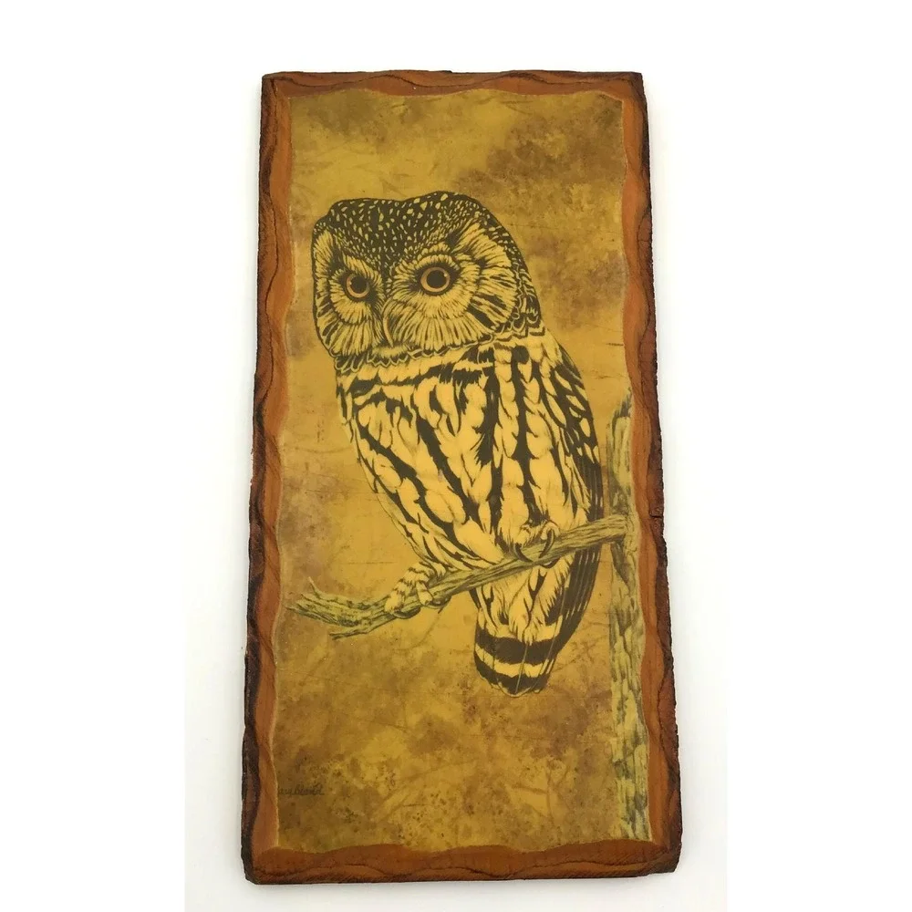Vintage Owl Wood Plaque Wall Art Rustic Nature Decor Retro Farmhouse Primitive